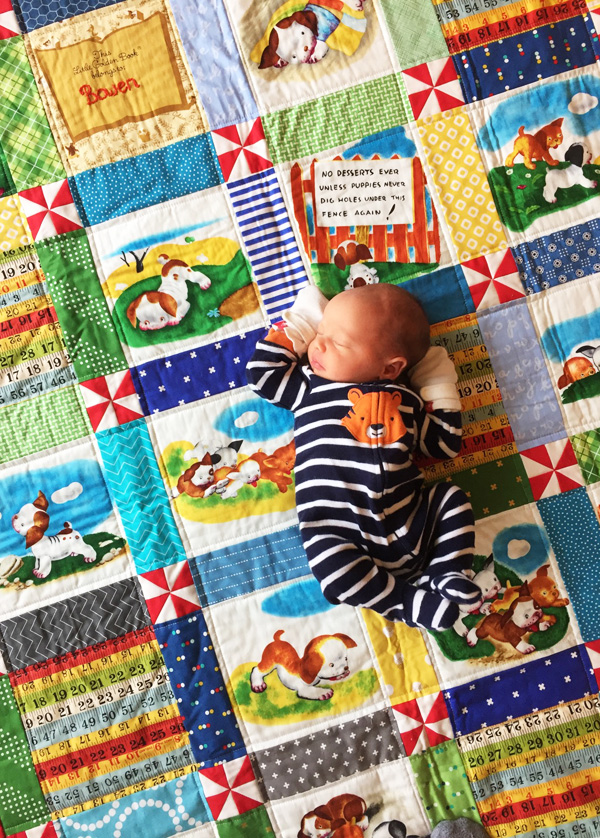 A Pokey Puppy Baby Quilt, Cluck Cluck Sew